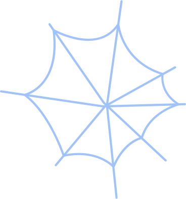Spinnennetz-objekt PNG, SVG