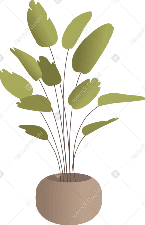 plant in the pot PNG, SVG