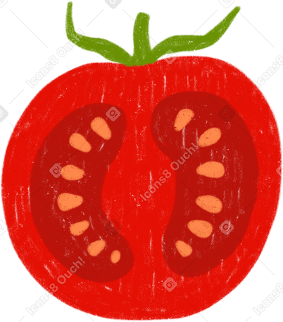 tomato half PNG、SVG