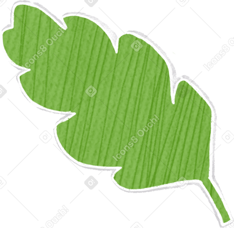 green leaf lettuce PNG, SVG