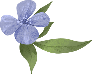 blue flower with several leaves в PNG, SVG