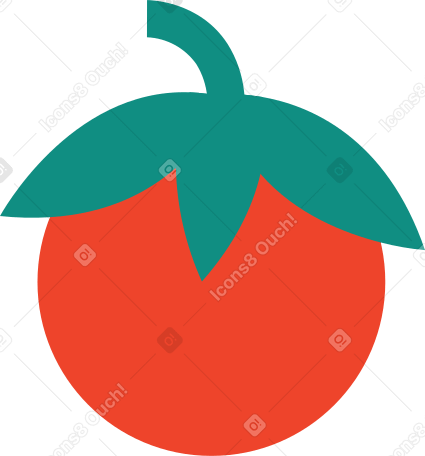 tomato Illustration in PNG, SVG