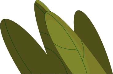 bushes PNG, SVG