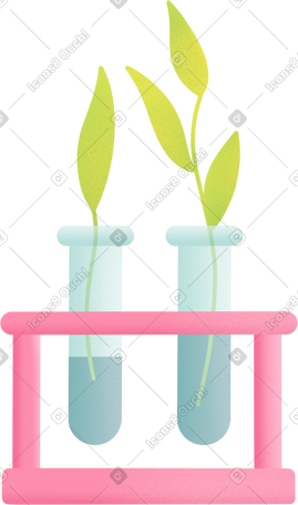 flasks with plants PNG, SVG