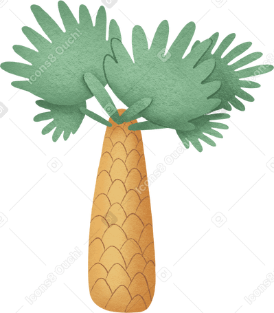 palm Illustration in PNG, SVG