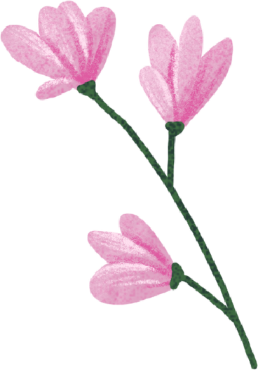 small branch with small pink flowers PNG, SVG