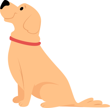 sitting labrador dog в PNG, SVG