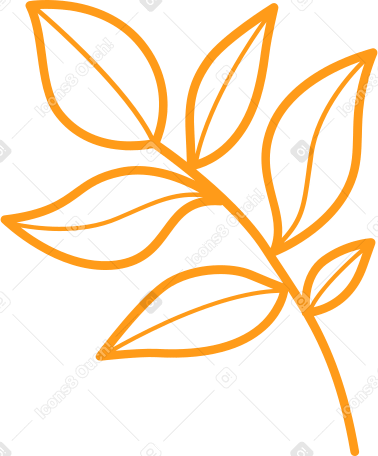 ветка с листьями в PNG, SVG