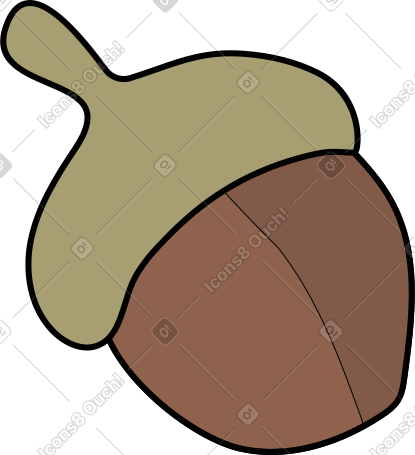 acorn PNG, SVG