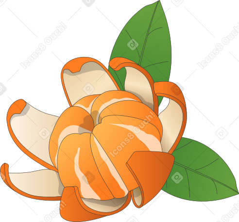 tangerina descascada PNG, SVG