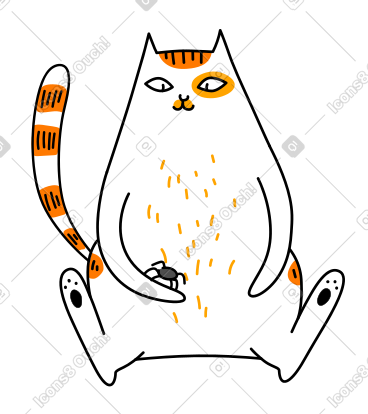 猫坐着玩蜘蛛 PNG, SVG