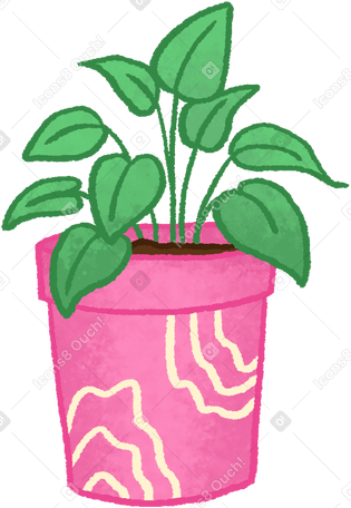 houseplant in pink pot в PNG, SVG