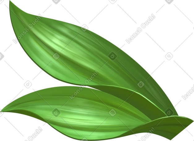 thick grass leaves PNG, SVG