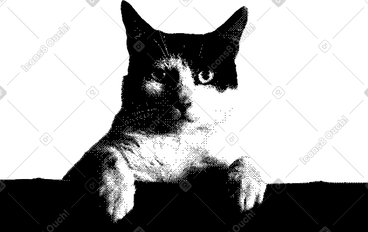 猫 PNG, SVG