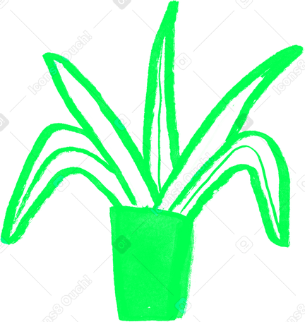 Grüne zimmerpflanze PNG, SVG