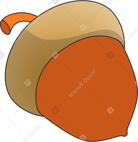 acorn PNG, SVG