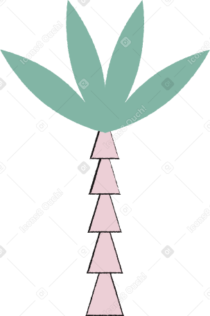 пальма в PNG, SVG