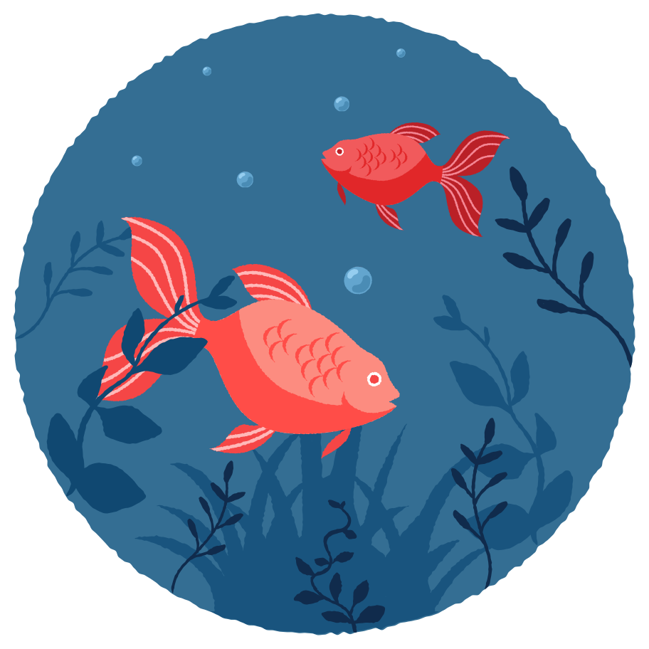 Underwater world Illustration in PNG, SVG