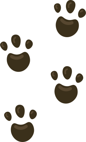 paws print Illustration in PNG, SVG