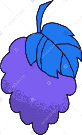 grape with leaf PNG, SVG