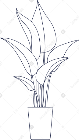 feuilles tropicales de grandes plantes PNG, SVG