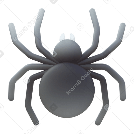 3D black spider Illustration in PNG, SVG