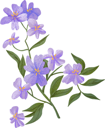 Small purple flowers on a branch в PNG, SVG