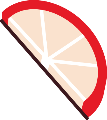 orange slice PNG, SVG