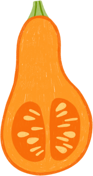 Pumpkin half PNG、SVG