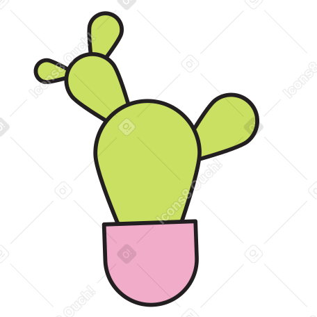 Cactus animated illustration in GIF, Lottie (JSON), AE