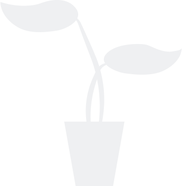 plant animated illustration in GIF, Lottie (JSON), AE