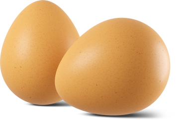 eggs in shell PNG, SVG