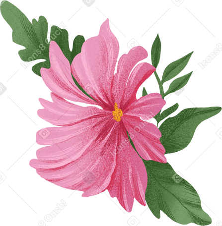 pink flower with yellow center and green leaves PNG, SVG