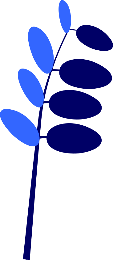 office plant PNG, SVG