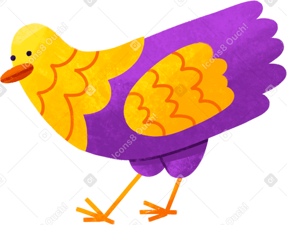 poulet PNG, SVG