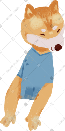 mr shiba PNG, SVG