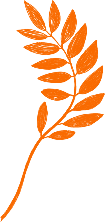 Orange branch with laurel leaves в PNG, SVG
