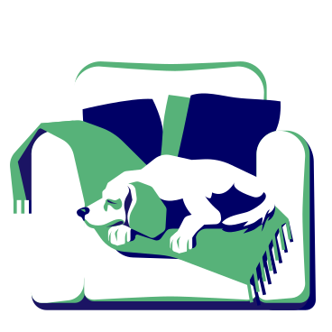 Dog sleeps on a chair with a soft blanket PNG, SVG