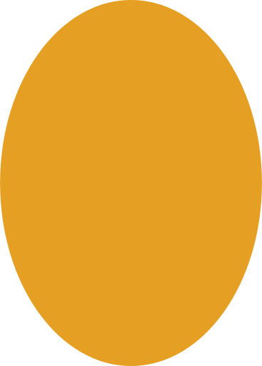orange ellipse PNG, SVG