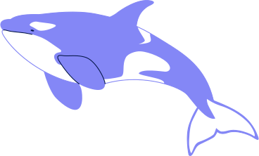 swimming orca PNG, SVG