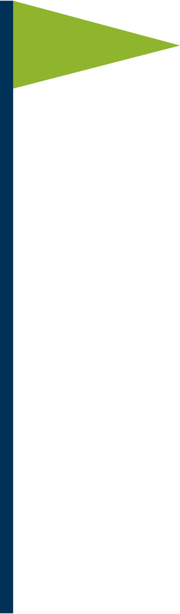 flagge auf einem stock PNG, SVG