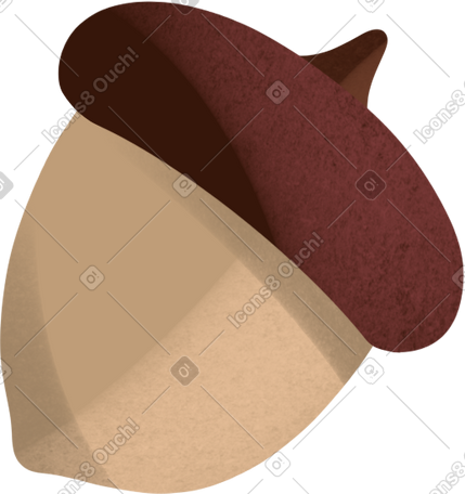 autumn acorn PNG, SVG