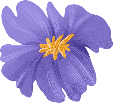 purple flower with a yellow center PNG, SVG