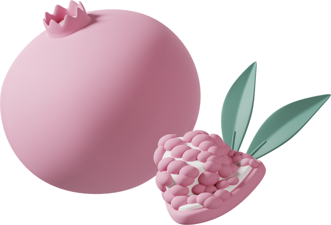 pink pomegranate  Illustration in PNG, SVG