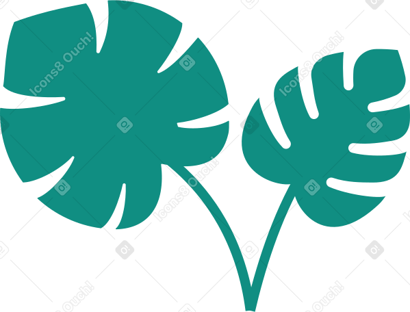 tropical leaves Illustration in PNG, SVG