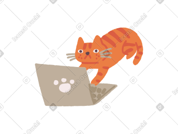 橙色条纹的猫在笔记本电脑上工作 PNG, SVG