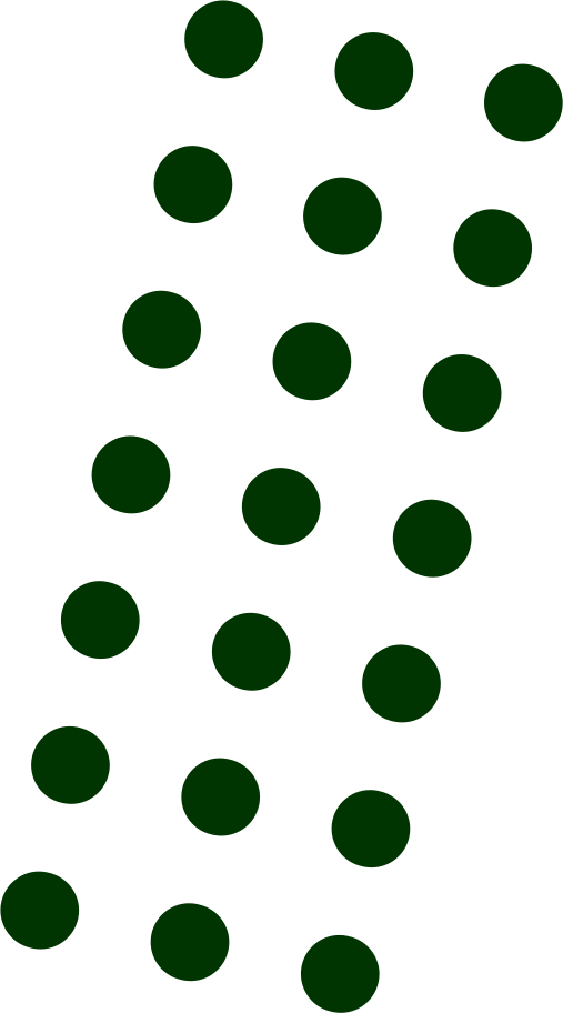 Dark green dots Illustration in PNG, SVG