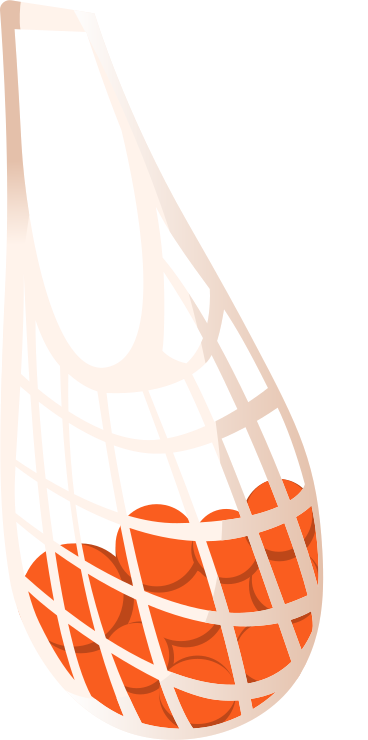 mesh string bag with tangerines PNG, SVG