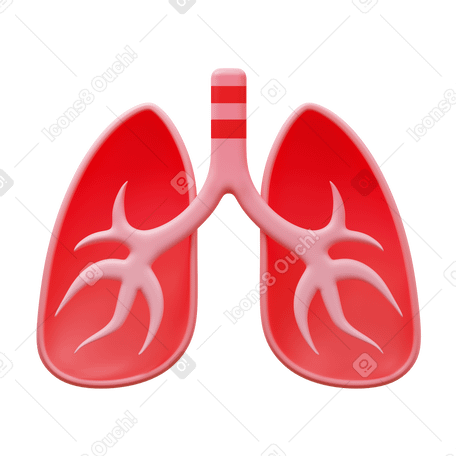 3D lungs PNG, SVG
