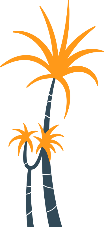 Palm trees PNG, SVG